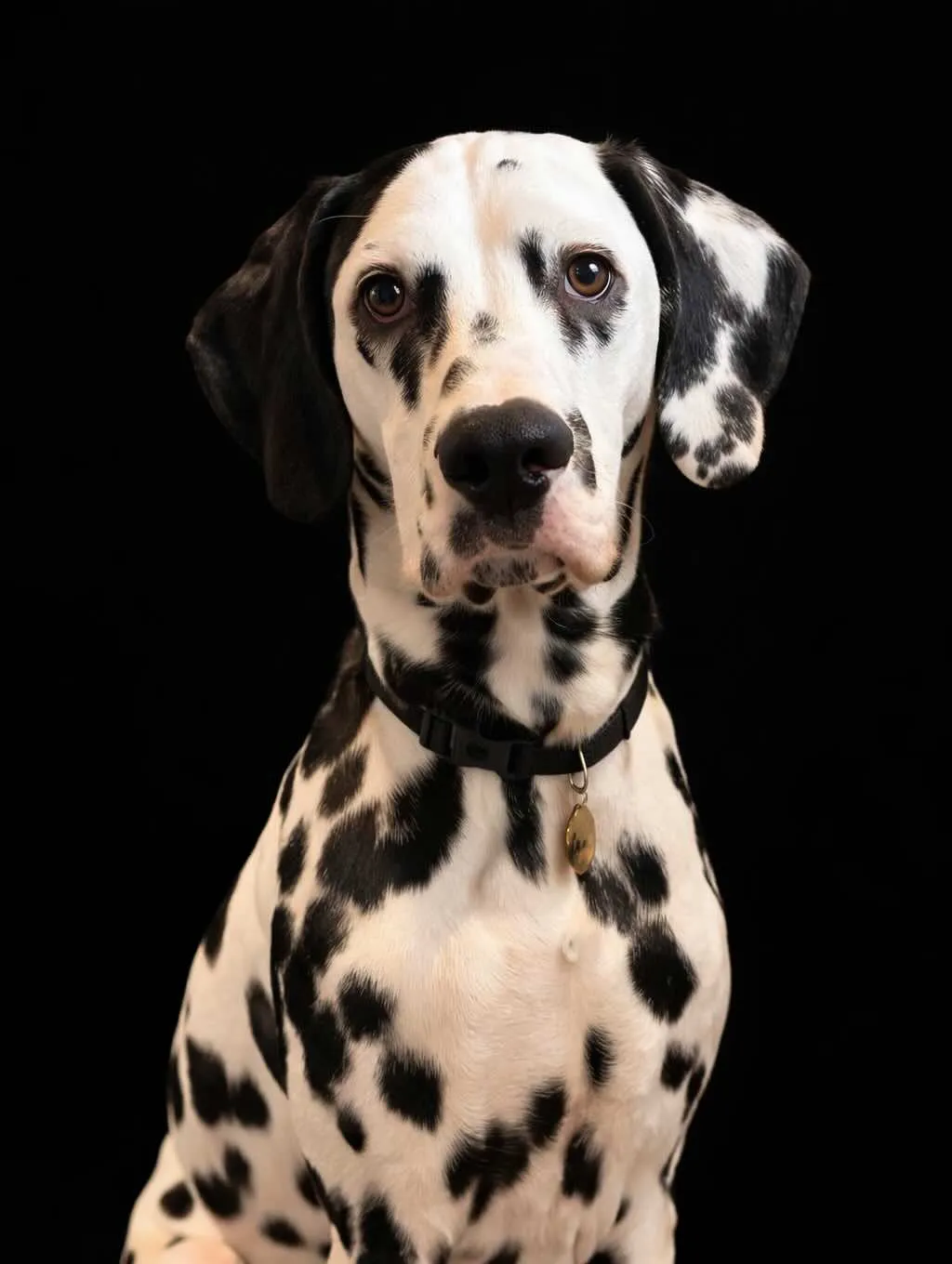 Ludvig